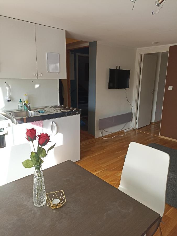 Feelhome Small 1 Bedroom Apartment Polar Vegen Τρόμσο Εξωτερικό φωτογραφία